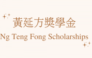 Ng-Teng-Fong-Scholarship_logo