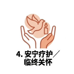 4. 安宁疗护 / 临终关怀